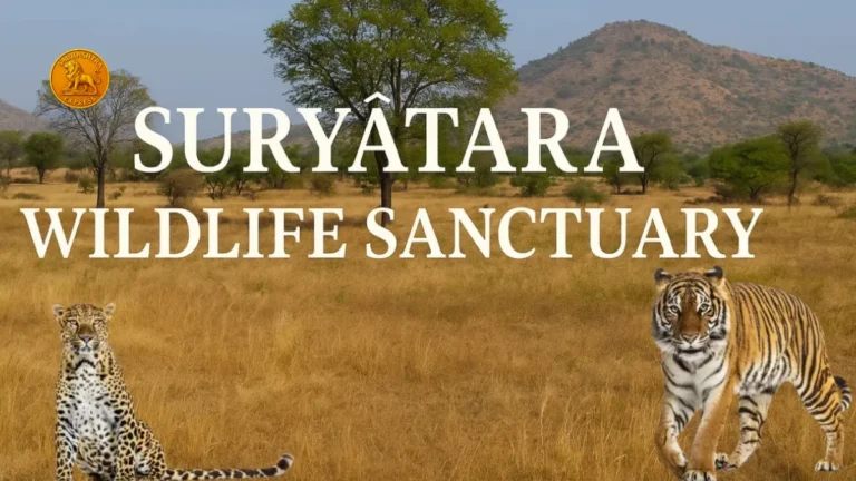 Suryatara wildlife sanctuary