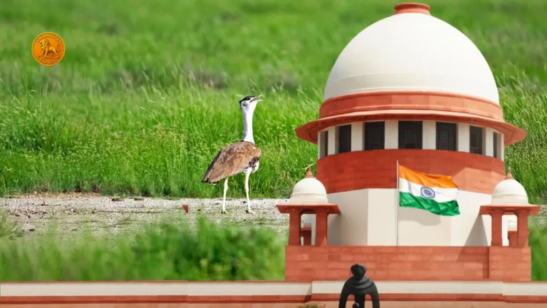 Great Indian Bustard