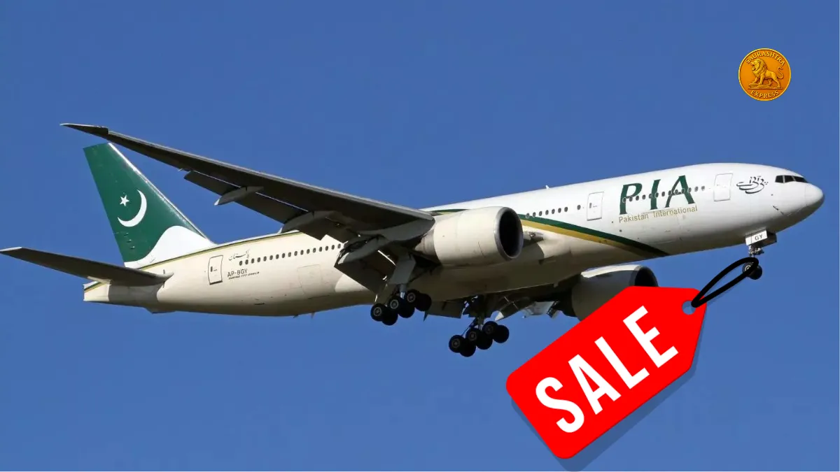 Pia bidders