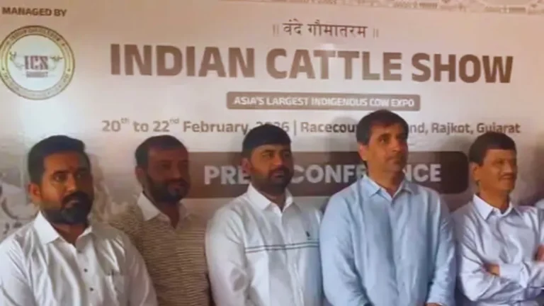Indian Cattle Show