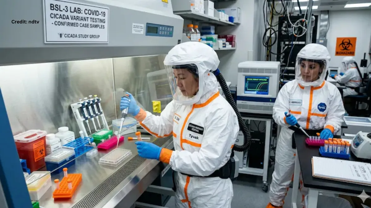 Cicada Covid Variant